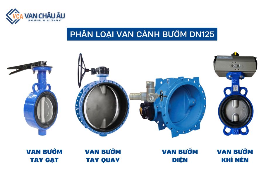 phân loại van bướm dn125