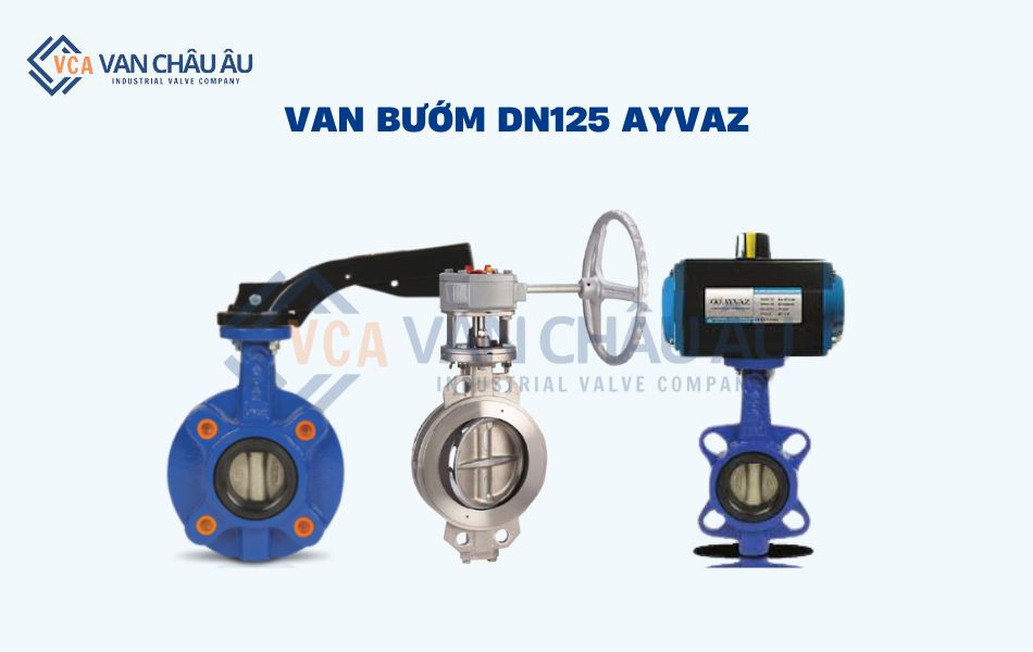 van bướm dn125 ayvaz