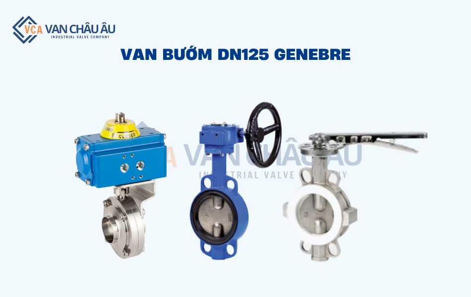 van bướm dn125 genebre