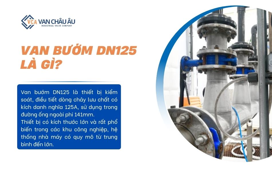 giới thiệu van bướm dn125