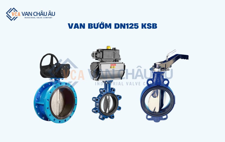 van bướm dn125 ksb