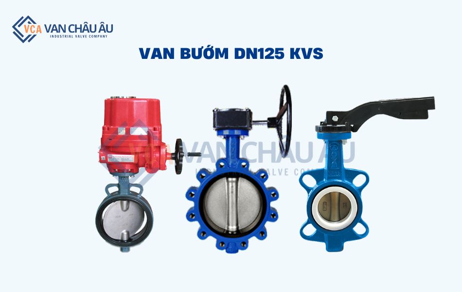 van bướm dn125 kvs
