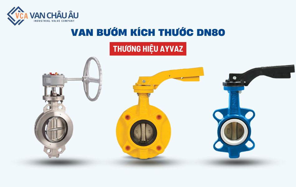van bướm dn80 thương hiệu ayvaz