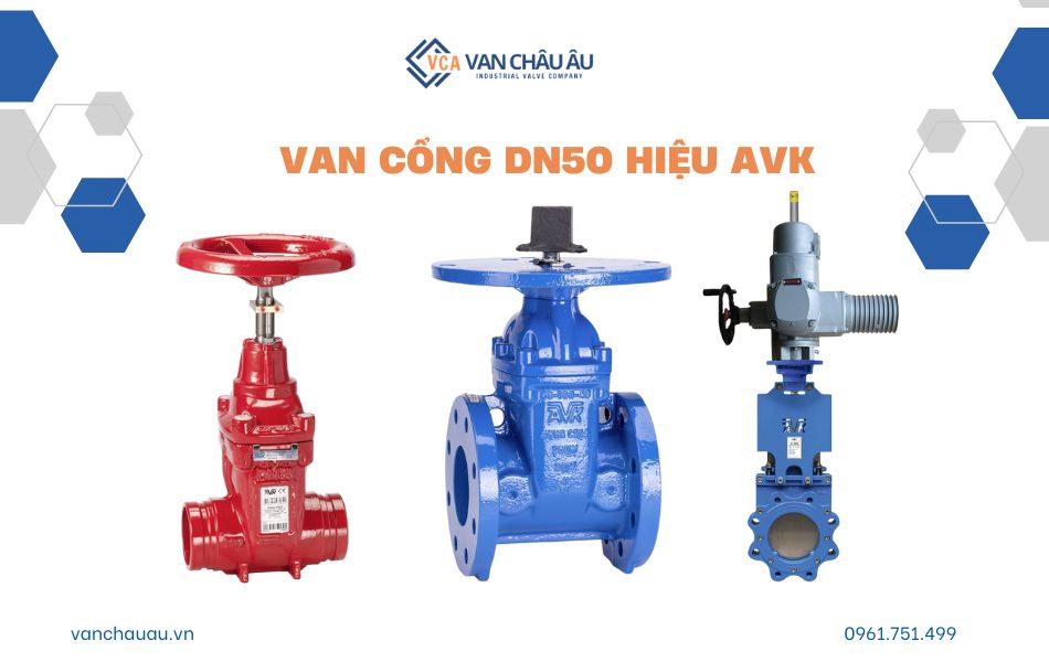van cổng dn50 thương hiệu avk