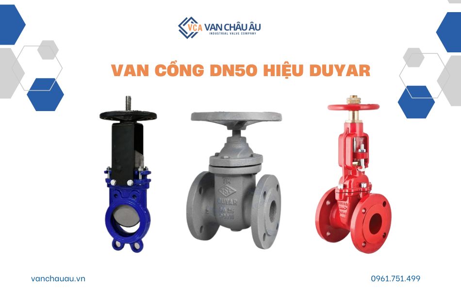 van cổng dn50 thương hiệu duyar