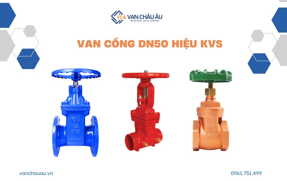 van cổng dn50 thương hiệu kvs