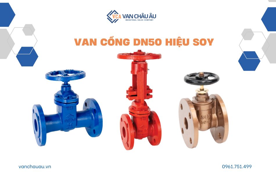 van cổng dn50 thương hiệu soy