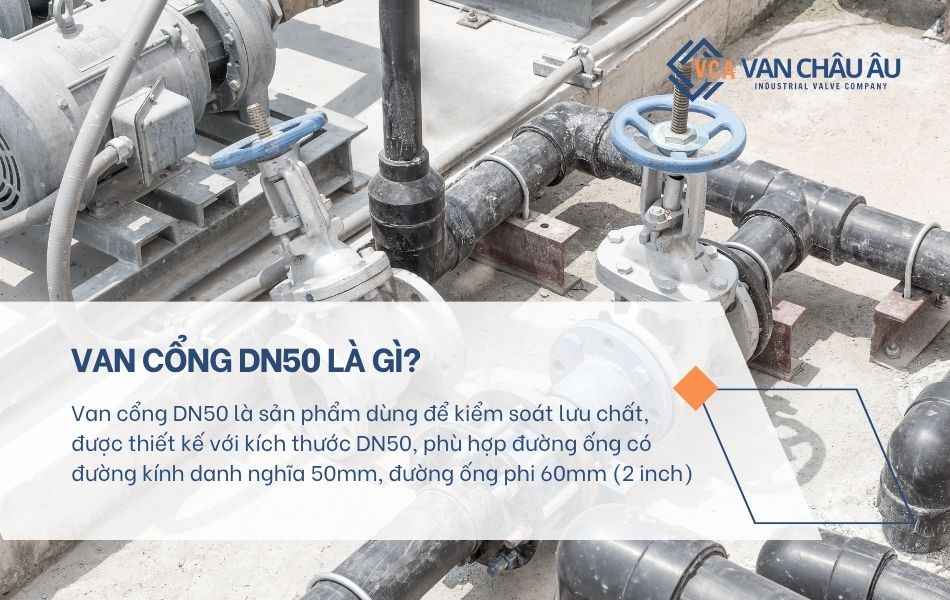 van cổng dn50 là gì