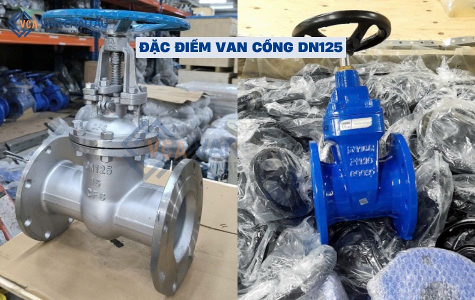 đặc điểm chính của van cổng dn125