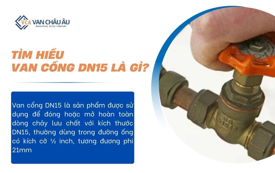 giới thiệu về van cổng dn15