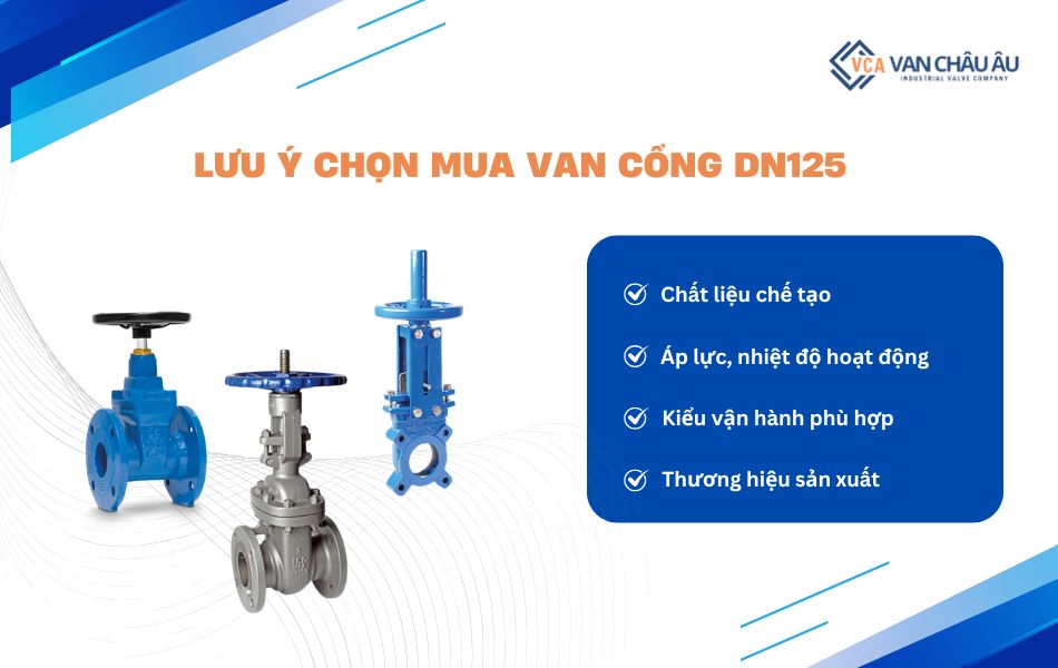 lưu ý khi chọn mua van cổng dn125