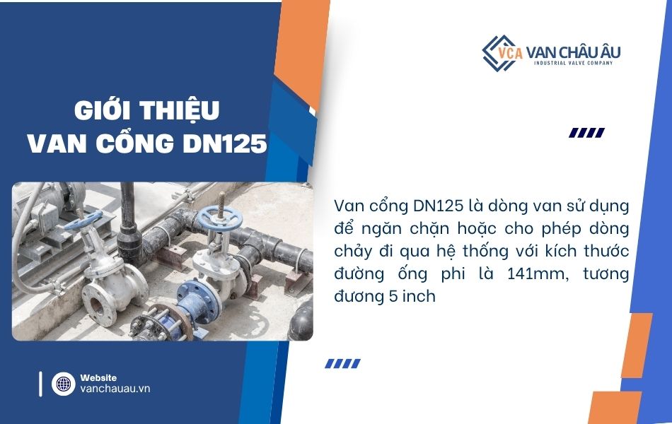tìm hiểu van cổng dn125 là gì
