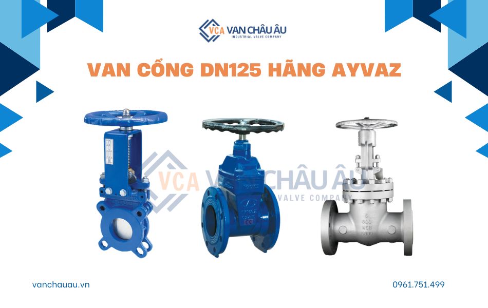 Van cổng DN125 của Ayvaz Thổ Nhĩ Kỳ