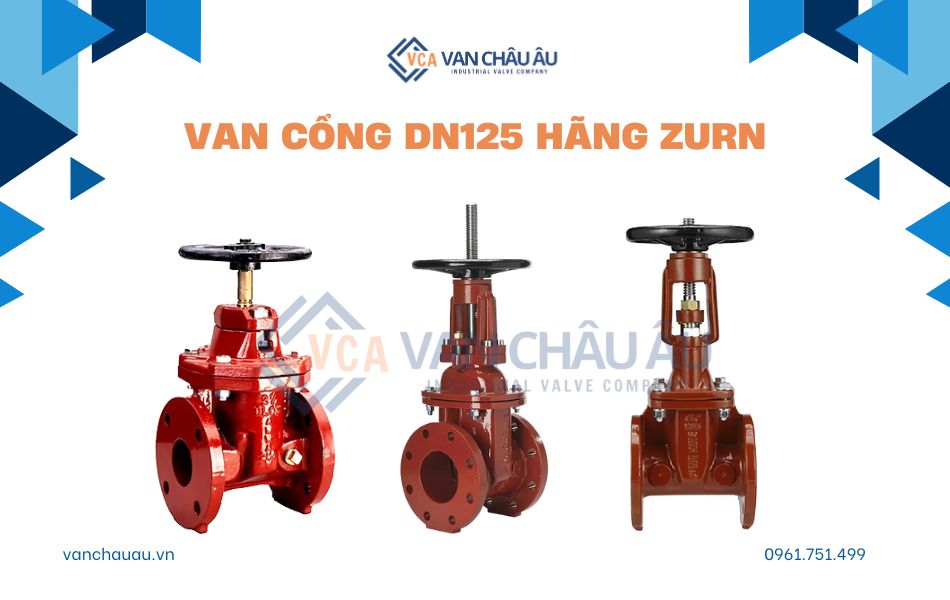 Van cổng DN125 của Zurn Mỹ