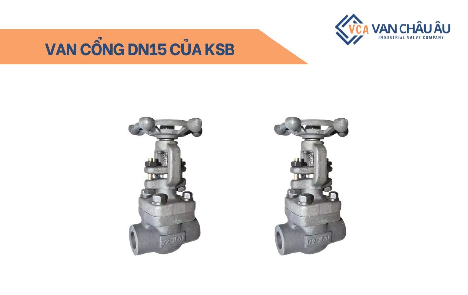 Van cổng DN15 của KSB