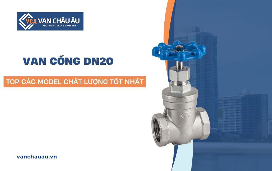 van cổng dn20