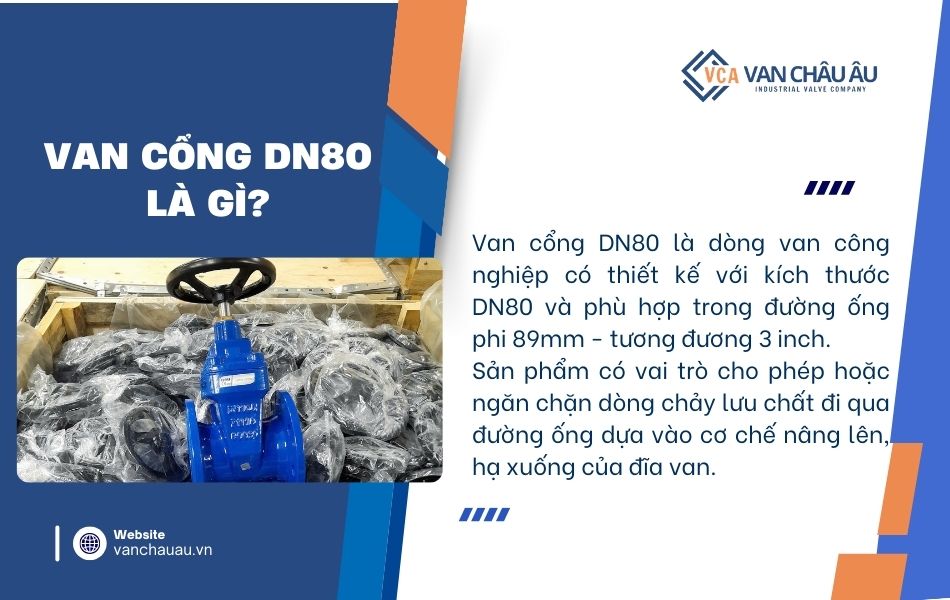 van cổng dn80 là gì