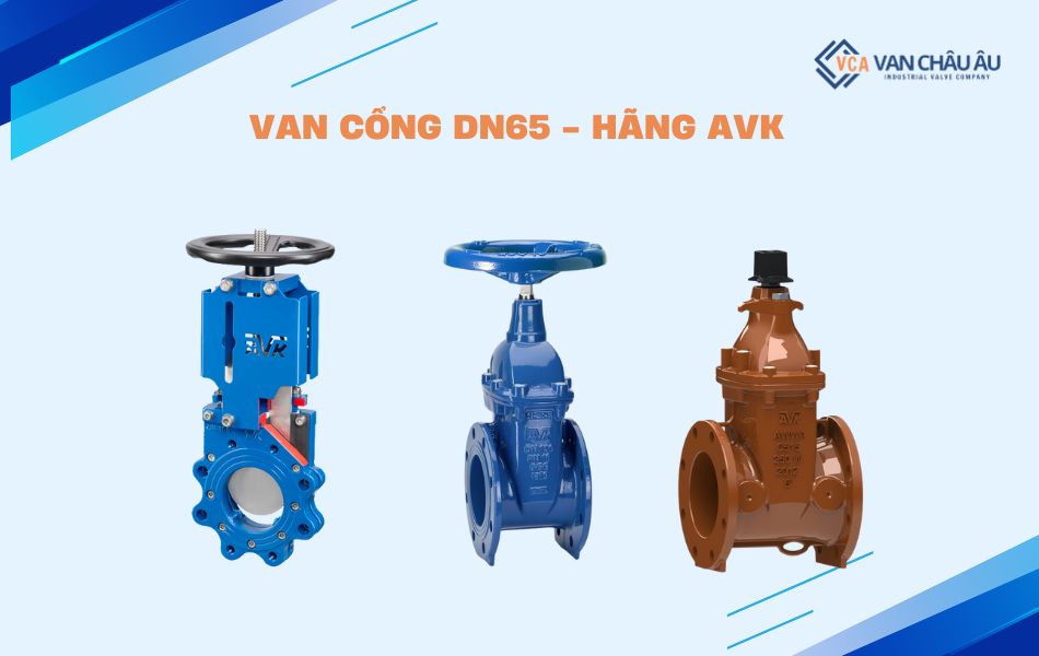 van cổng avk dn65