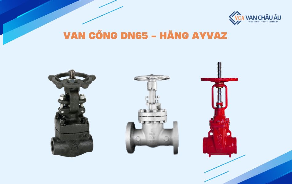 van cổng ayvaz dn65