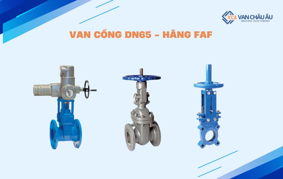 van cổng faf dn65