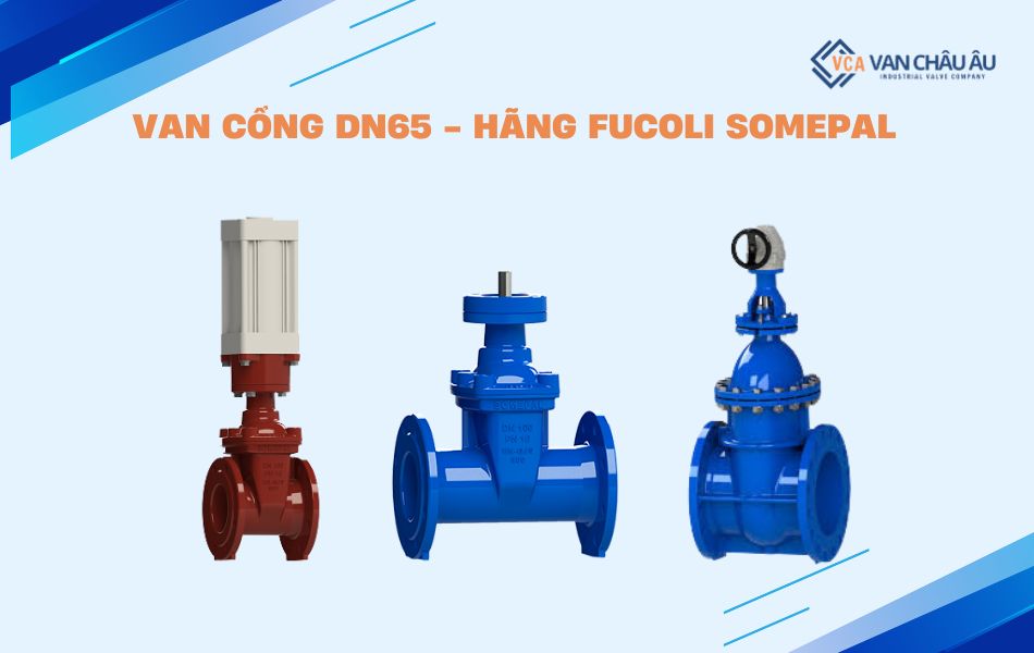 van cổng Fucoli Somepal dn65