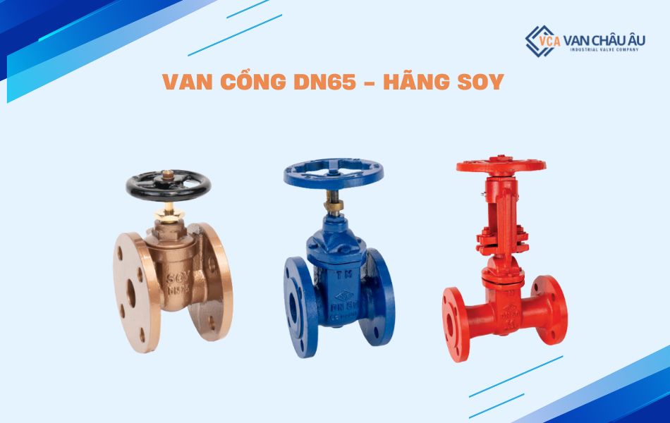 van cổng soy dn65