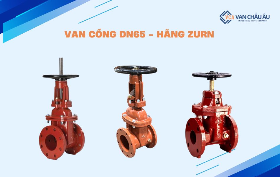 van cổng zurn dn65