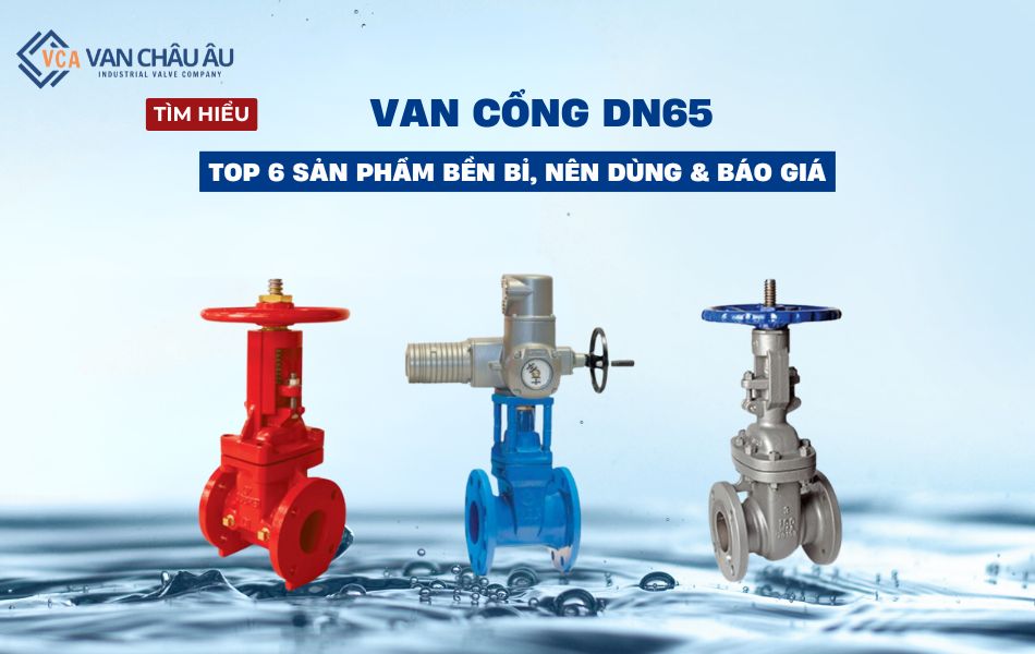 van cổng dn65
