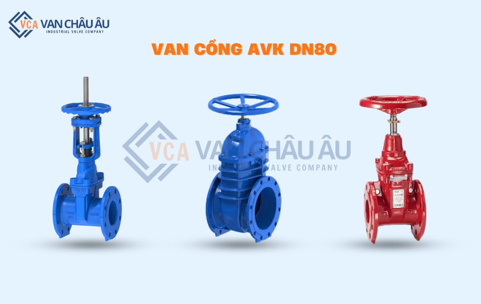 van cổng avk dn80