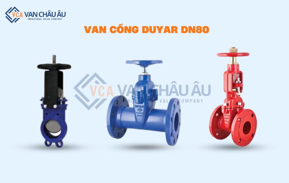 van cổng duyar dn80