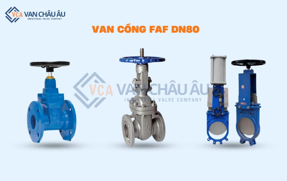 van cổng faf dn80