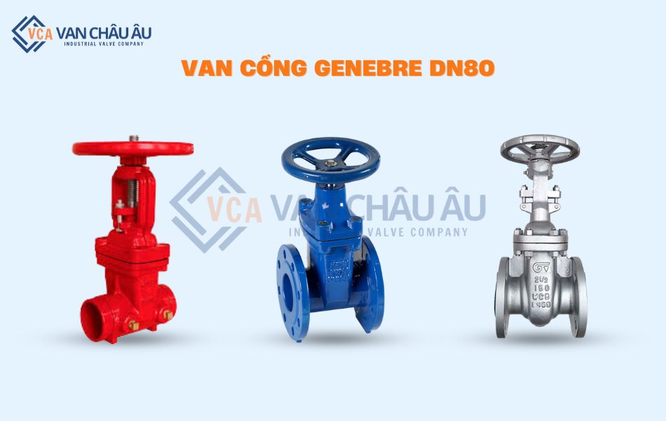 van cổng genebre dn80