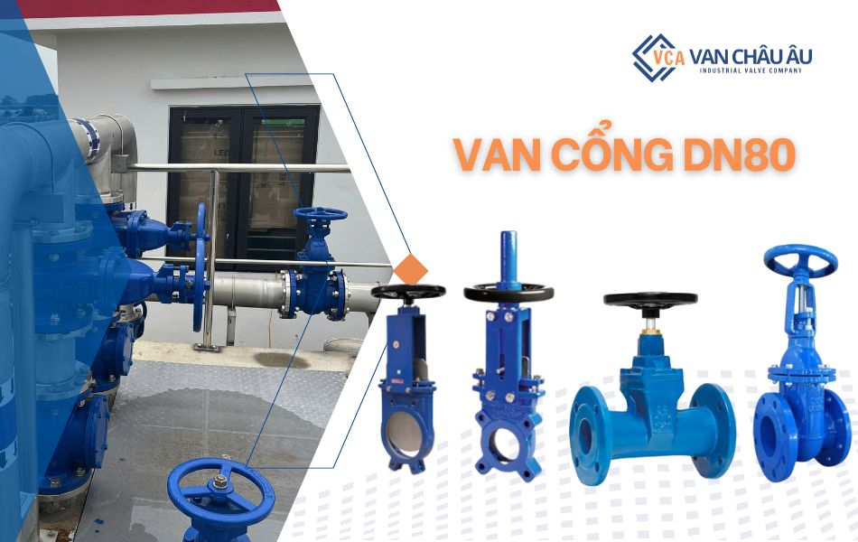 van cổng dn80
