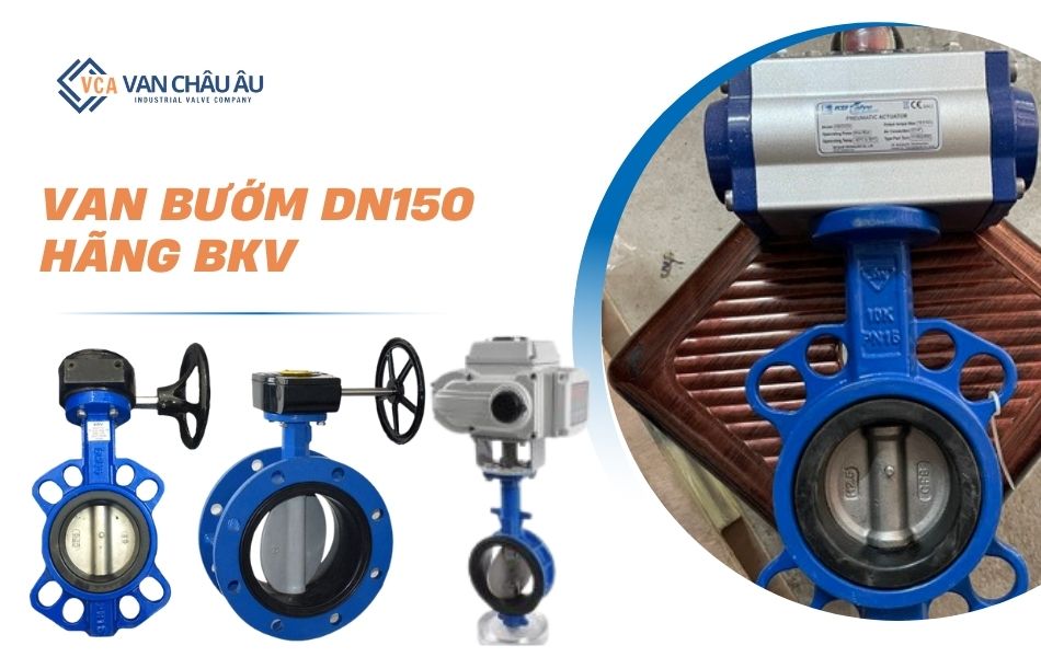 van-buom-dn150-hang-kbv-gia-canh-tranh