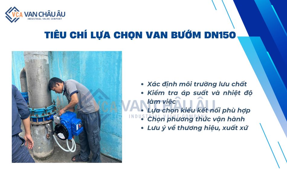 van-buom-dn150-nen-lua-chon-loai-nao-phu-hop