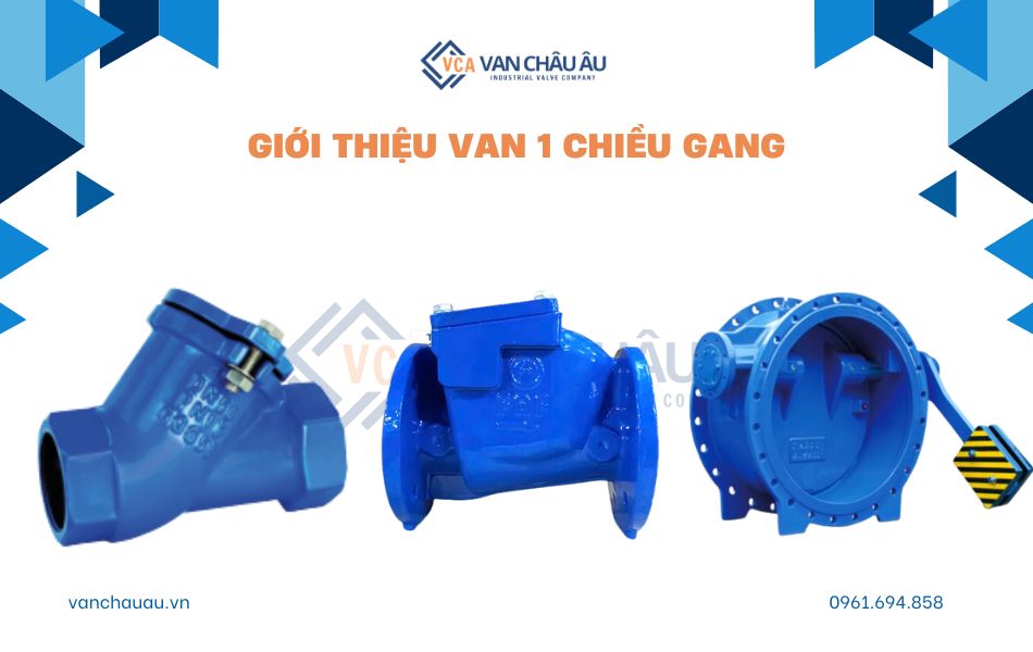giới thiệu van 1 chiều gang