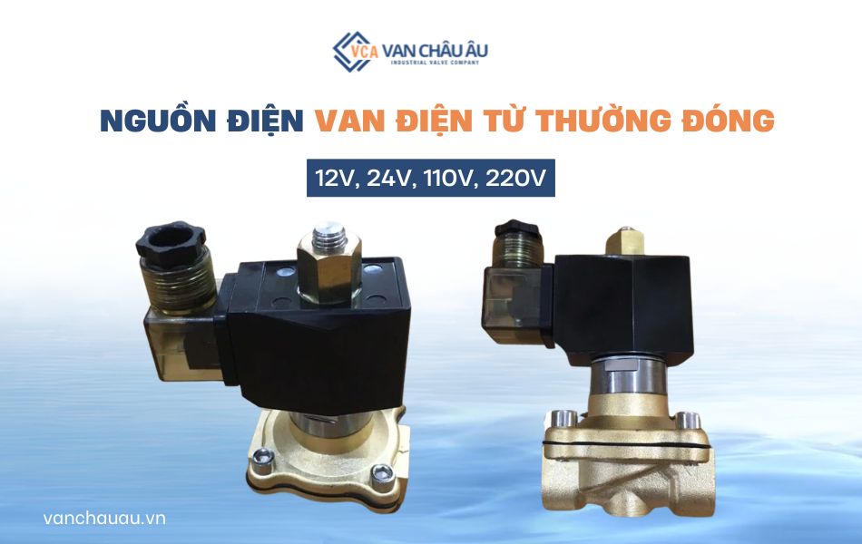 van-dien-tu-thuong-dong-24v-220v-12v-110v