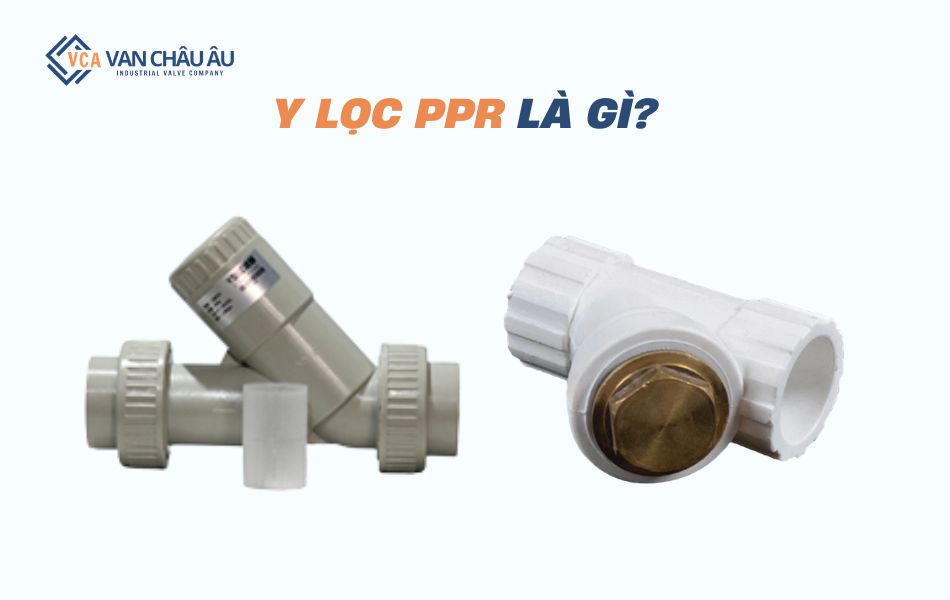 y-loc-ppr-la-gi