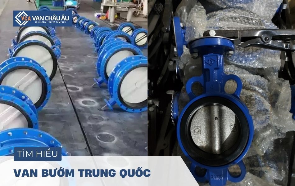 van bướm trung quốc là gì