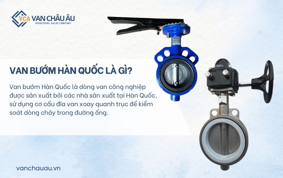 van bướm hàn quốc là gì