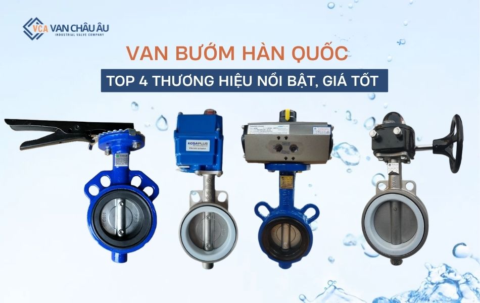 van bướm hàn quốc 