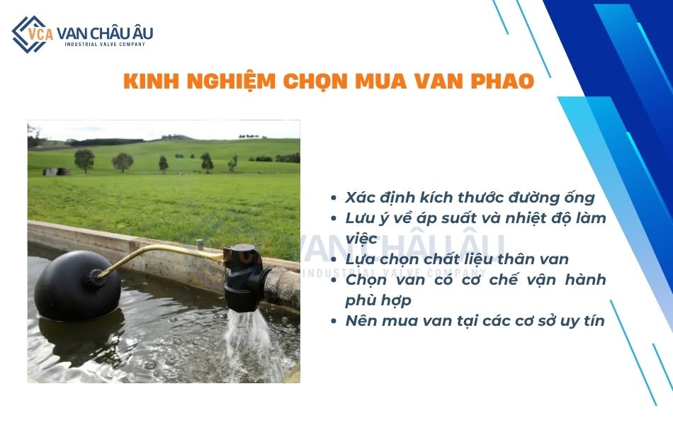 kinh nghiệm mua van phao