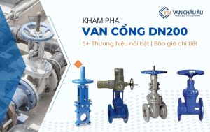 van cổng dn200