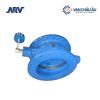 Van 1 chiều đối trọng ARV