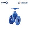 Van cổng ty chìm Duyar kết nối mặt bích