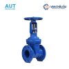 Van cổng ty nổi AUT