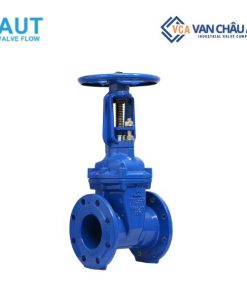 Van cổng ty nổi AUT