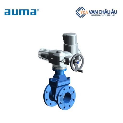Van động cơ điện AUMA
