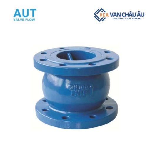 Van một chiều lò xo AUT
