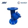 Y lọc thân gang nối bích ARV DN100